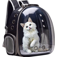 CAT BUBBLE BAG