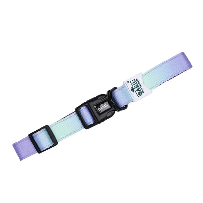 Padded Adjustable Collar for Dogs, Cats & Puppies (Purple & Blue)