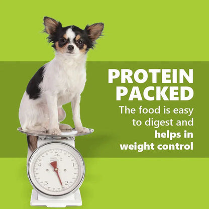 JERHIGH SPINACH 100GM