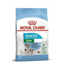 ROYAL CANIN MINI STARTER 1KG