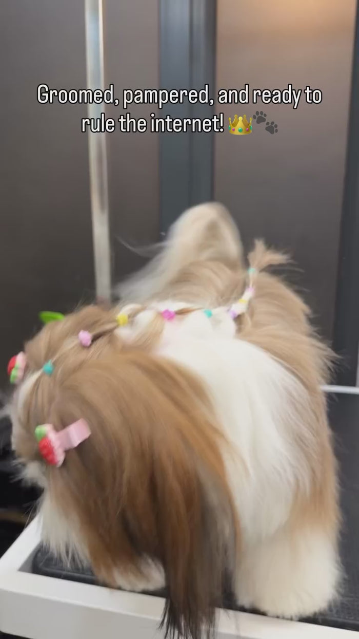Load video: 